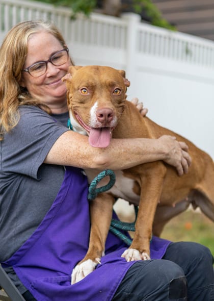 Photo of Gemstone, adoptable dog in Chamblee, Georgia