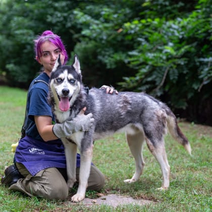Photo of Kyle Petty, adoptable dog in Chamblee, Georgia
